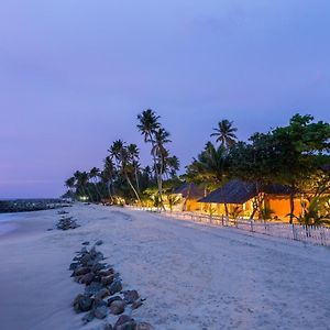 Azure Tides Marari