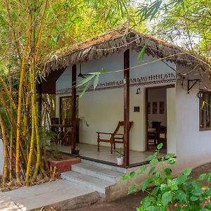 Wildernest Araanya By Vibescapes
